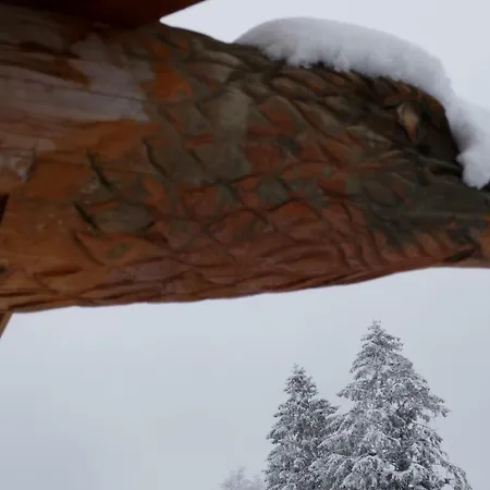 Whistler, Charme Et Prestige * Xonrupt-Longemer